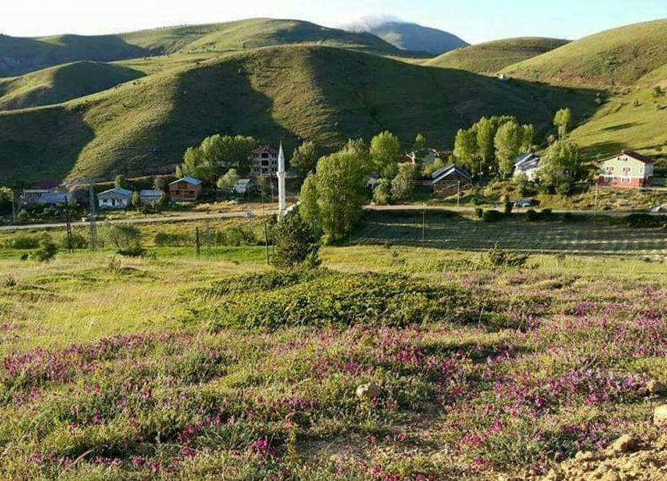 Gümüşhane  Güvercinlik  Köyü Resimleri 2