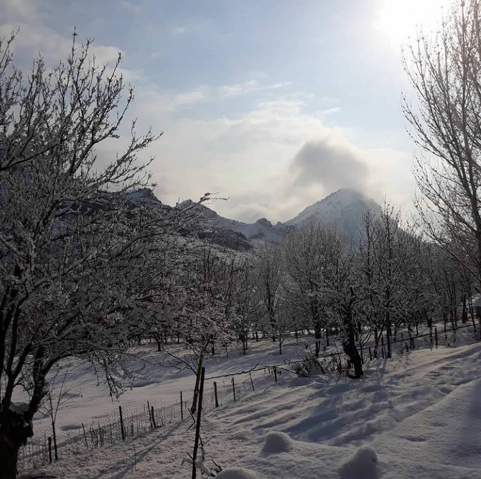 Gümüşhane  Harmancık  Köyü Resimleri 1