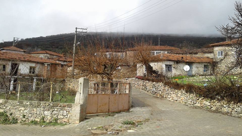 Kırkağaç Bademli Köyü Resimleri 2