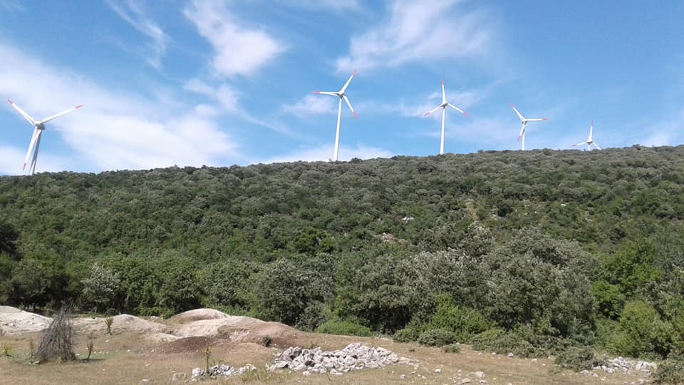 Kırkağaç Bademli Köyü Resimleri 4