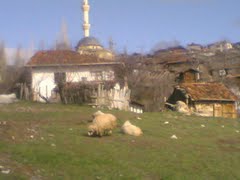 Ağrı Merkez Konuktepe Köyü Resimleri 5