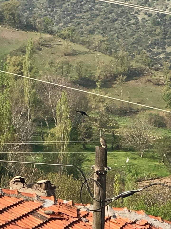 Kırkağaç Dualar Köyü Resimleri 3