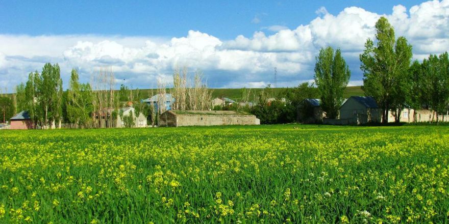 Ağrı Merkez Murat Köyü Resimleri