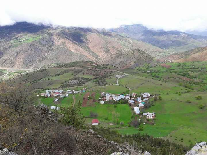 Gümüşhane  Hasköy  Köyü Resimleri 5