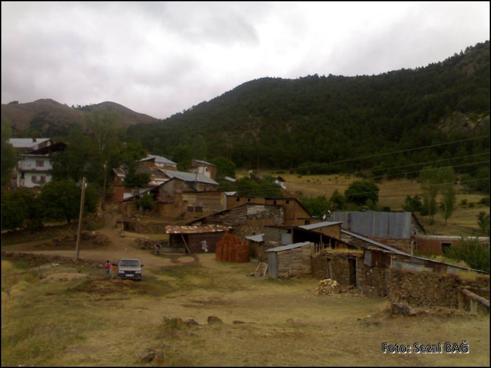 Gümüşhane  Hasköy  Köyü Resimleri 7