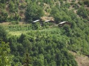 Ağrı Merkez Oğlaklı Köyü Resimleri 3