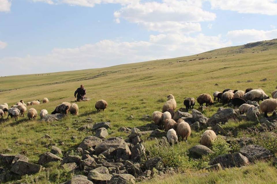 Gümüşhane  İncesu  Köyü Resimleri 4