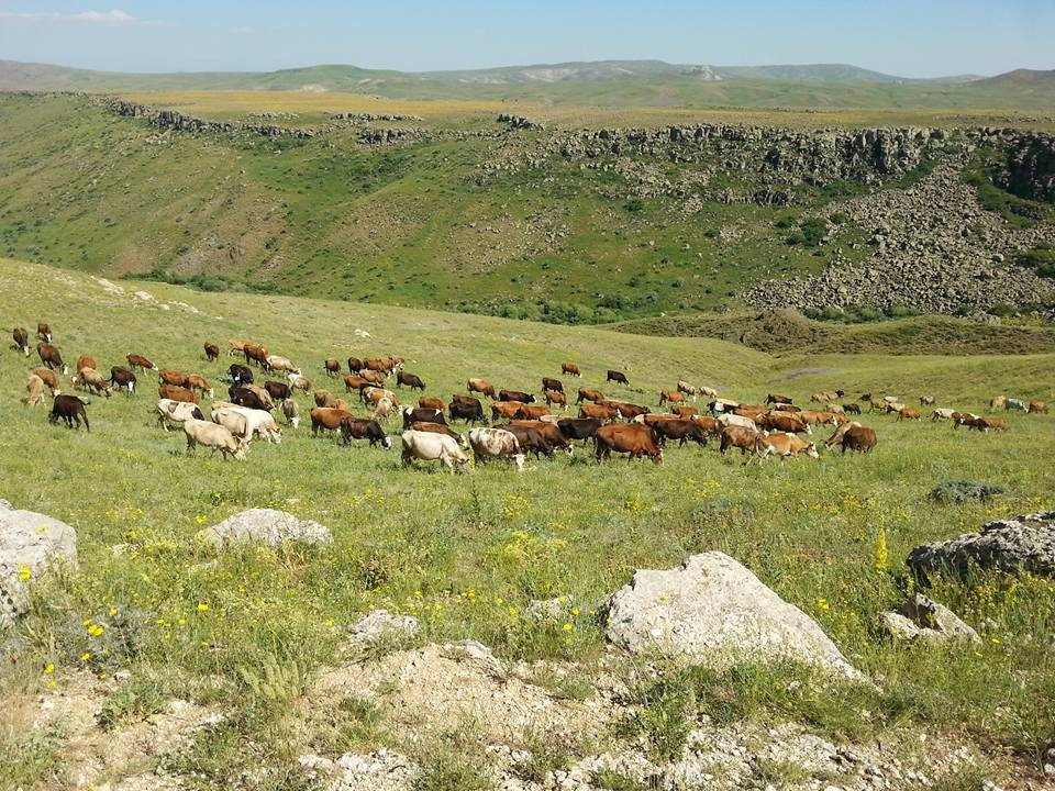 Karayazı Abdurrahman Köyü Resimleri 3