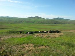 Karayazı Abdurrahman Köyü Resimleri 4