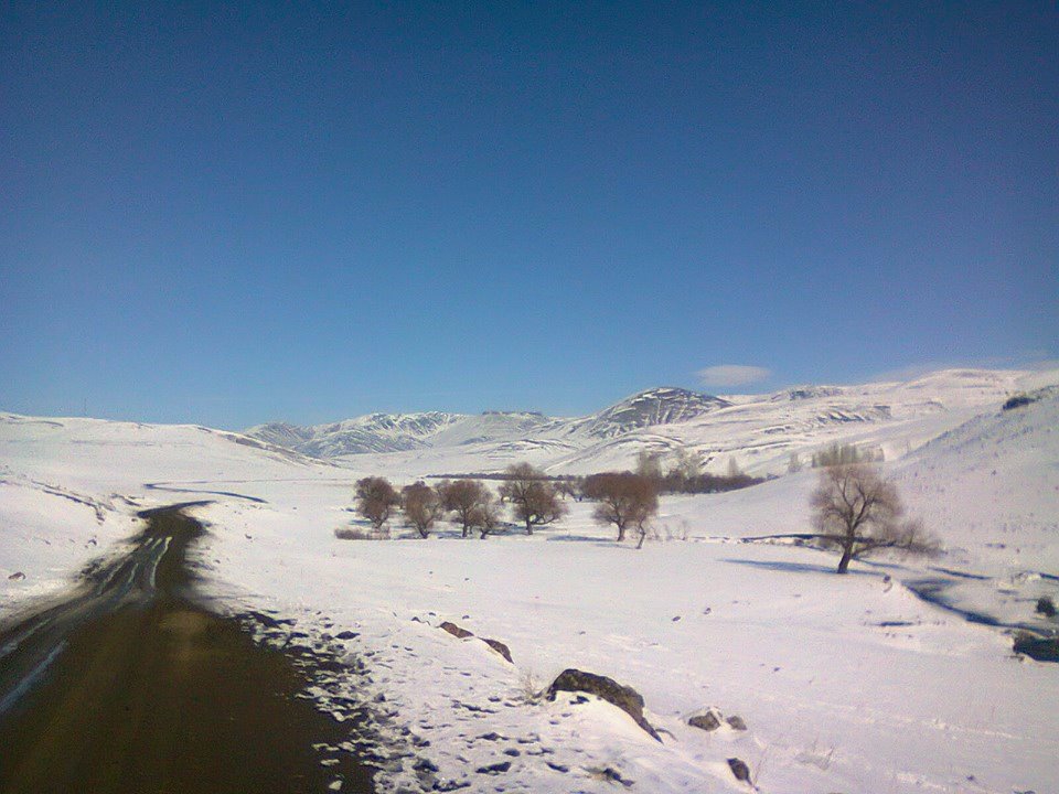 Karayazı Ağaçlı Köyü Resimleri 5