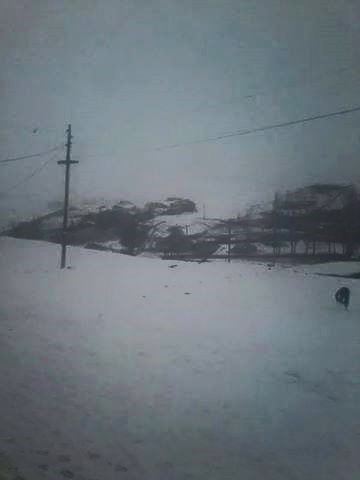 Karayazı Ağaçlı Köyü Resimleri 8