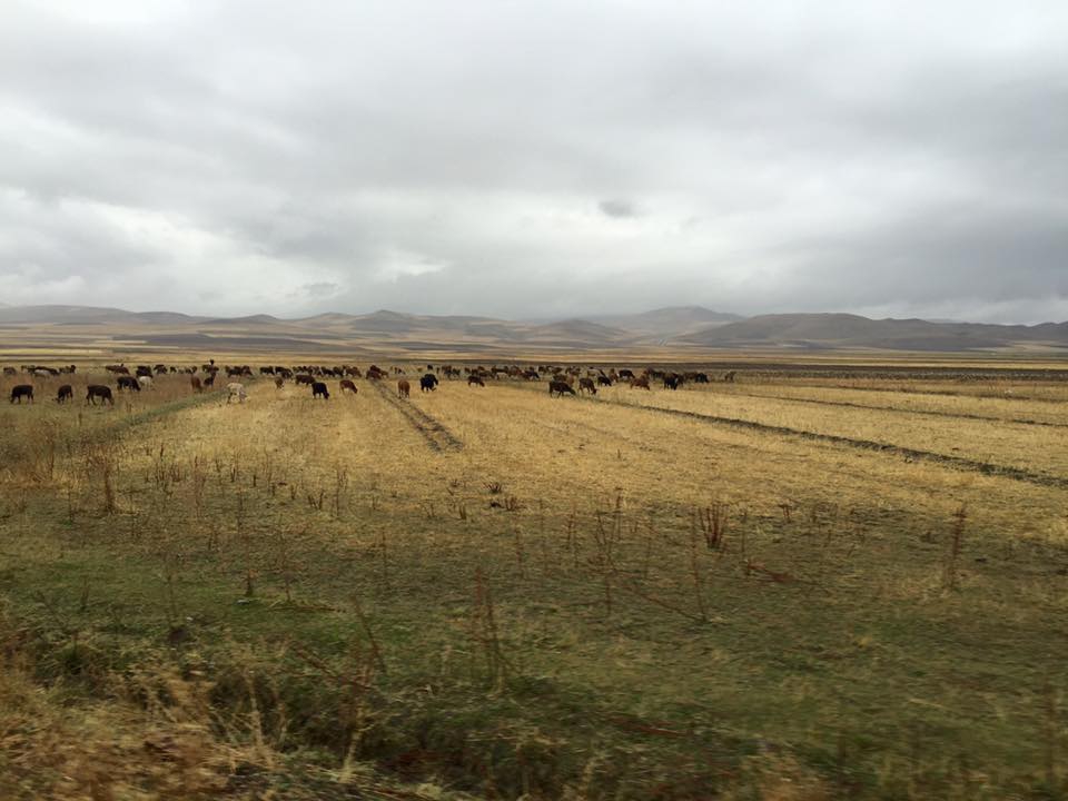 Karayazı Akarsu Köyü Resimleri 9