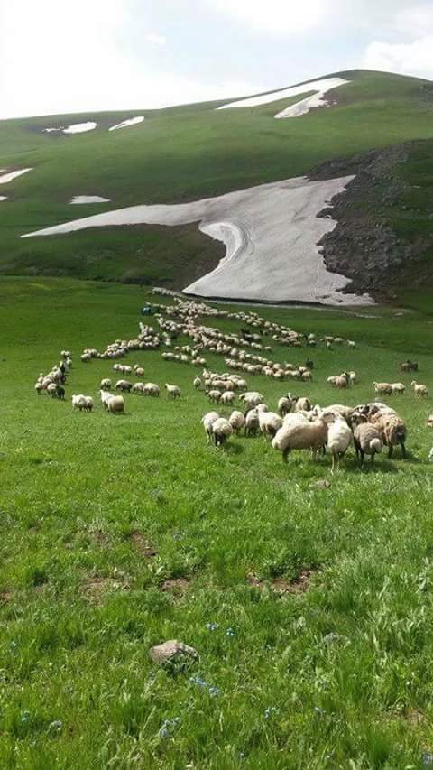Karayazı Anıtlı Köyü Resimleri 1