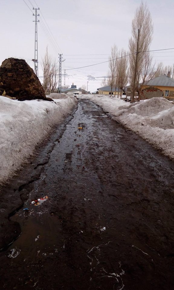 Karayazı Anıtlı Köyü Resimleri 4