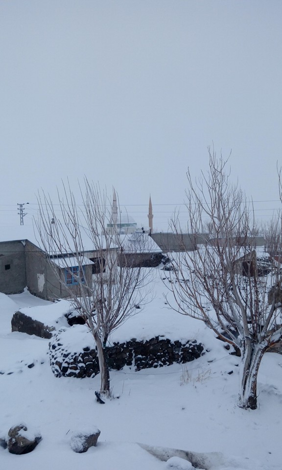 Karayazı Anıtlı Köyü Resimleri 5