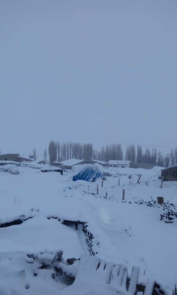 Karayazı Anıtlı Köyü Resimleri 7