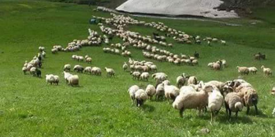 Karayazı Anıtlı Köyü Resimleri