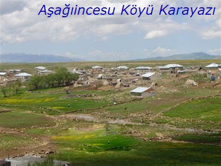 Karayazı Aşağıincesu Köyü Resimleri 3