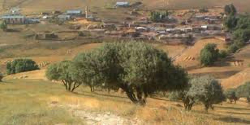 Karayazı Çalışkan Köyü Resimleri