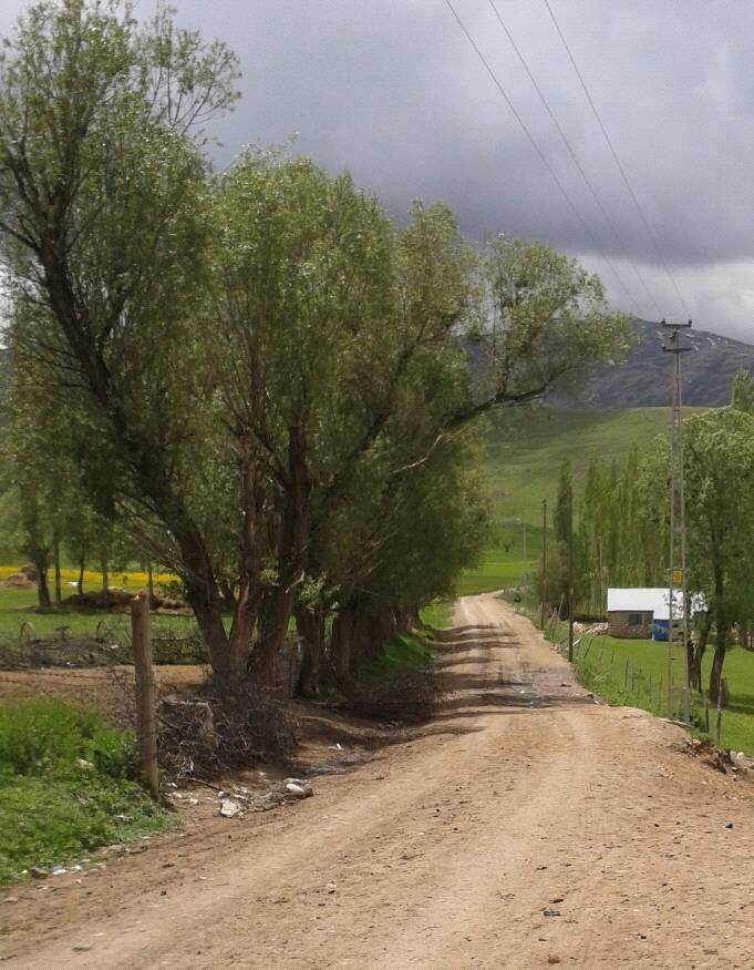 Karayazı Çaltılı Köyü Resimleri 4