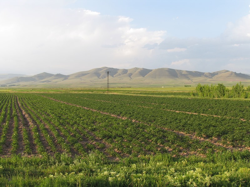 Karayazı Çatalören Köyü Resimleri 7