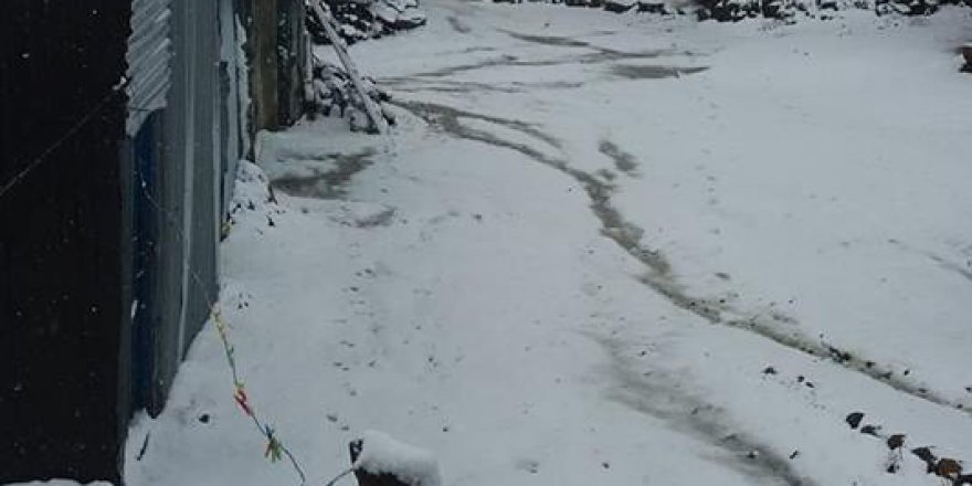 Karayazı Çatalören Köyü Resimleri