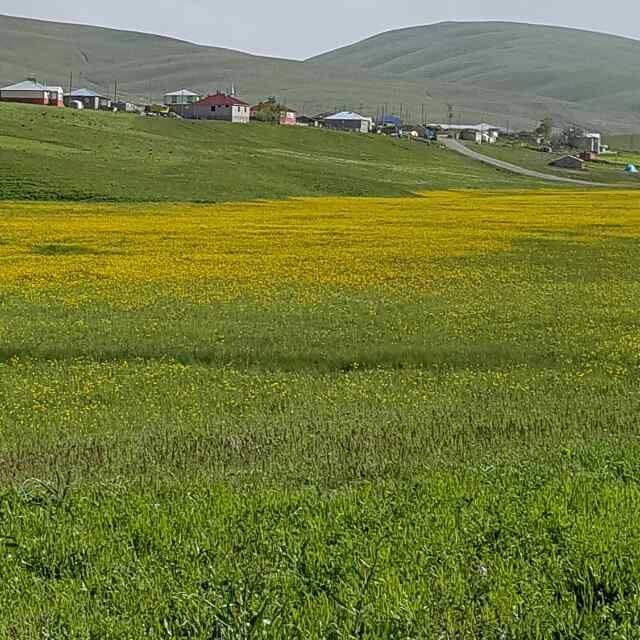 Karayazı Çavuşköy Köyü Resimleri 3