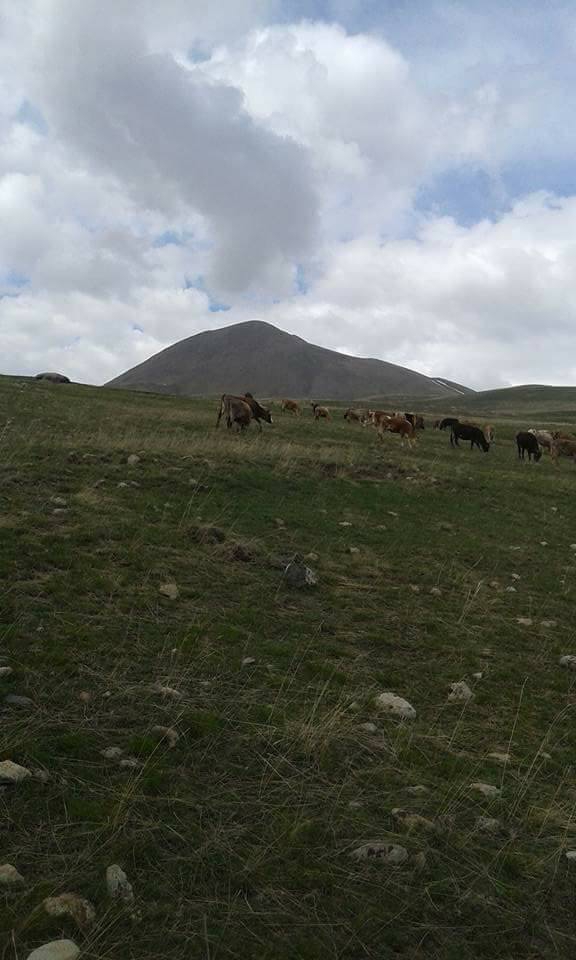 Karayazı Çayırbeyli Köyü Resimleri 5