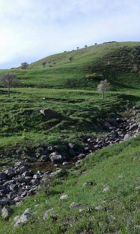 Karayazı Çelikli Köyü Resimleri 2