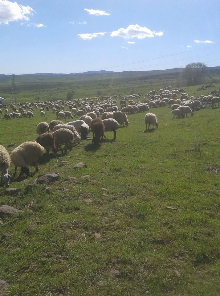 Karayazı Çelikli Köyü Resimleri 4
