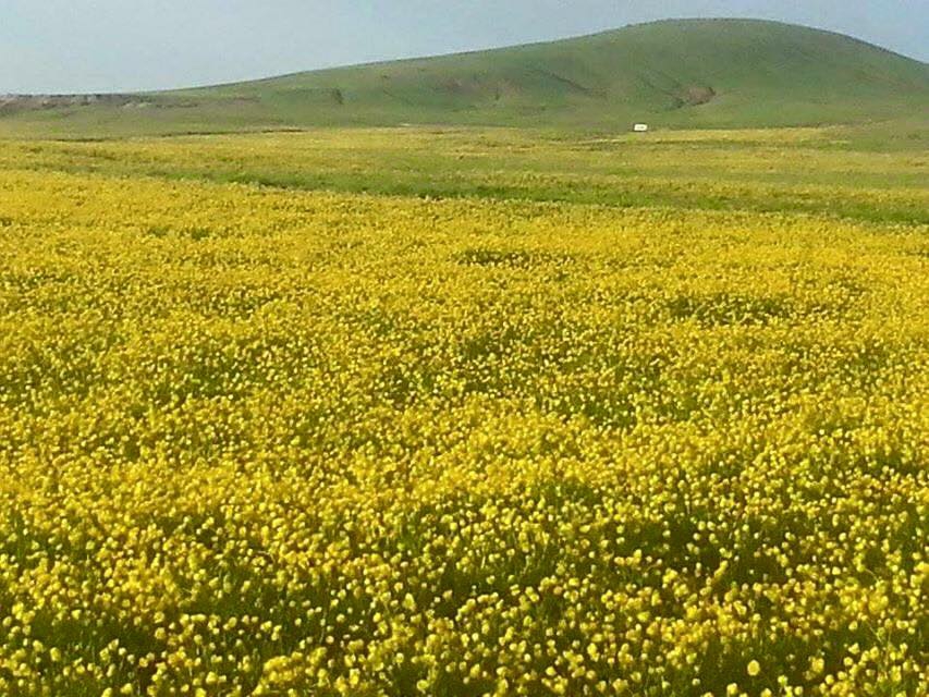 Karayazı Çepi Köyü Resimleri 2