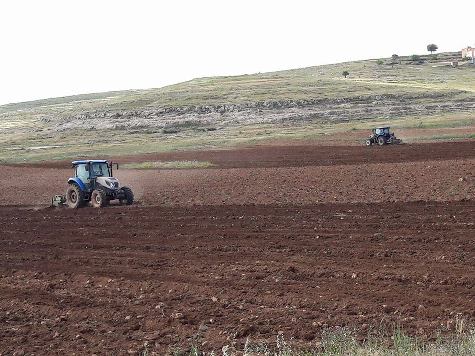 Midyat Bağlarbaşı Köyü Resimleri 1