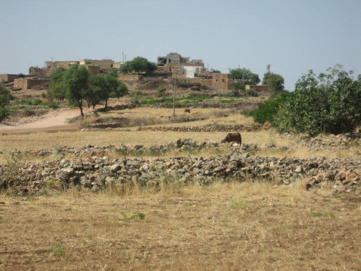 Midyat Başyurt Köyü Resimleri 2