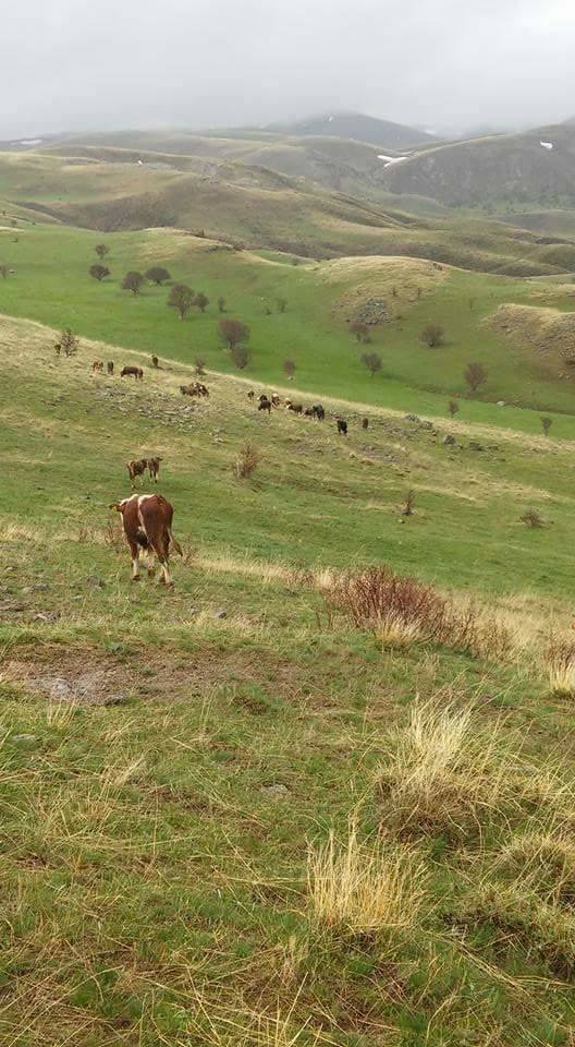 Karayazı Karabey Köyü Resimleri 2