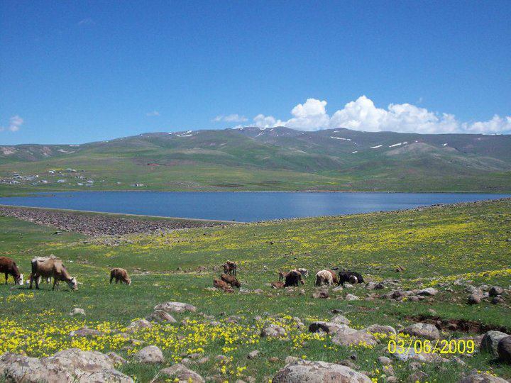 Karayazı Köyceğiz Köyü Resimleri 2