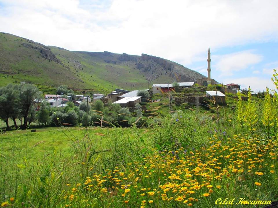 Gümüşhane  Nazlıçayır  Köyü Resimleri 3
