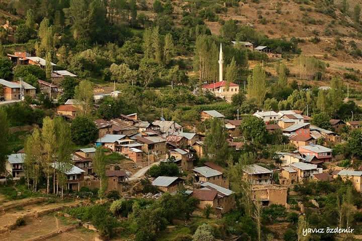 Gümüşhane  Olucak  Köyü Resimleri 1