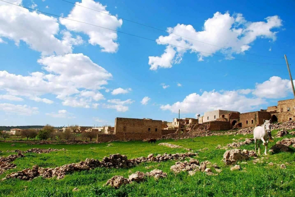 Midyat Doğançay Köyü Resimleri 2