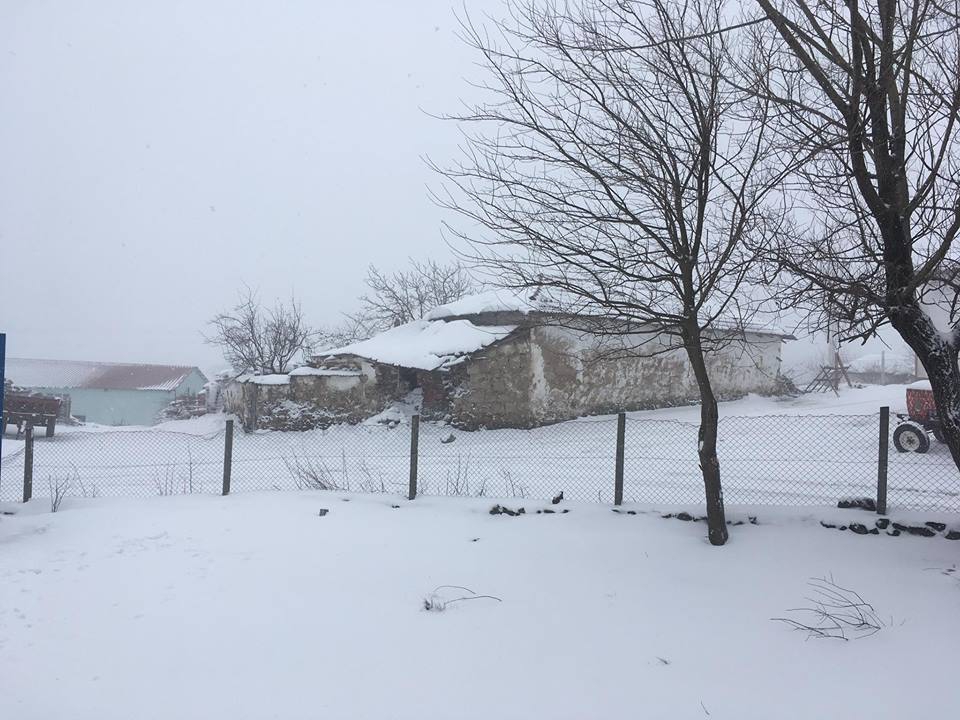 Kırkağaç Hamidiye Köyü Resimleri 7