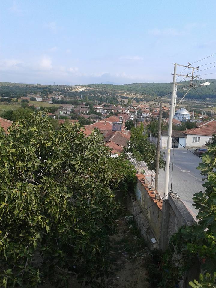 Kırkağaç Hamitli Köyü Resimleri 2