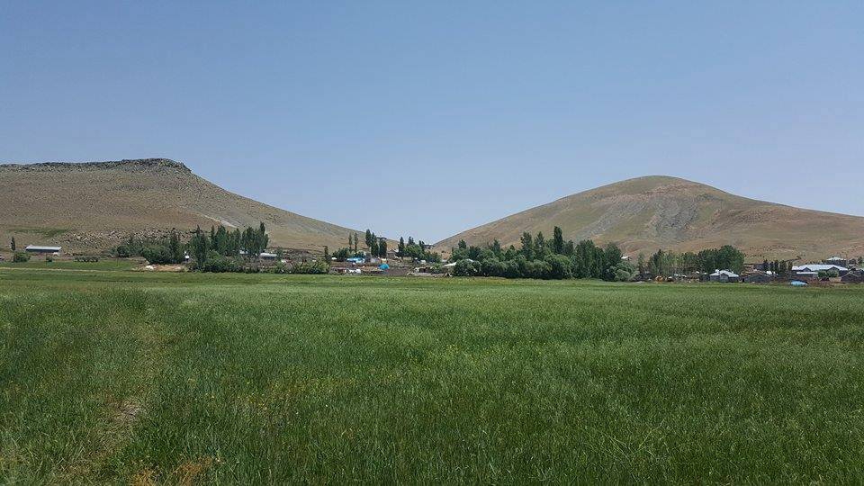 Karayazı Selenli Köyü Resimleri 4