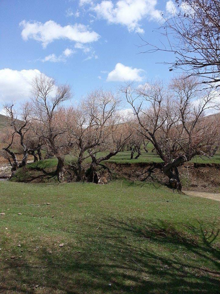 Karayazı Ulucanlar Köyü Resimleri 2