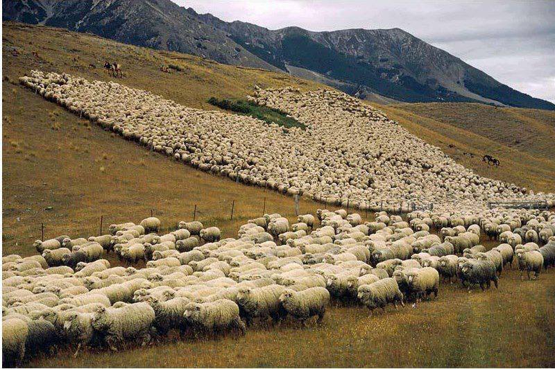 Karayazı Ulucanlar Köyü Resimleri 5