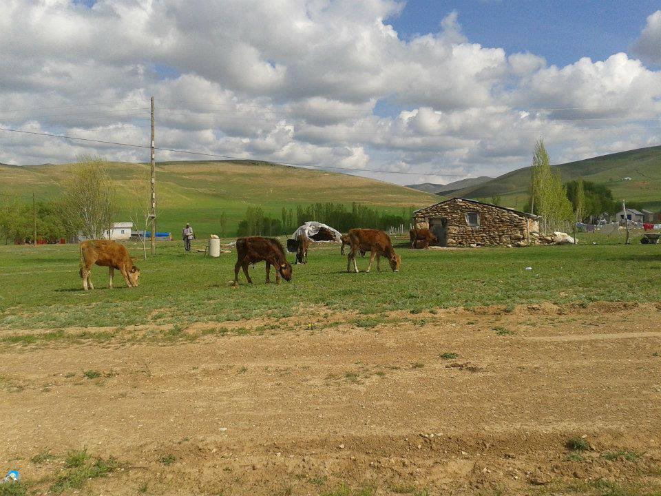 Karayazı Ulucanlar Köyü Resimleri 9