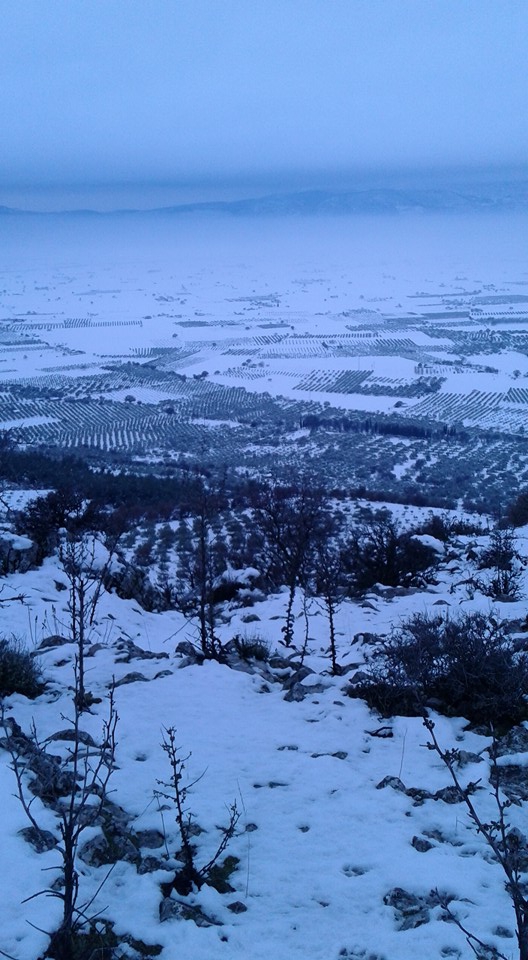Kırkağaç Siledik Köyü Resimleri 1