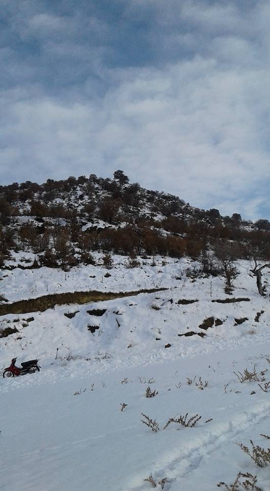 Kırkağaç Siledik Köyü Resimleri 5
