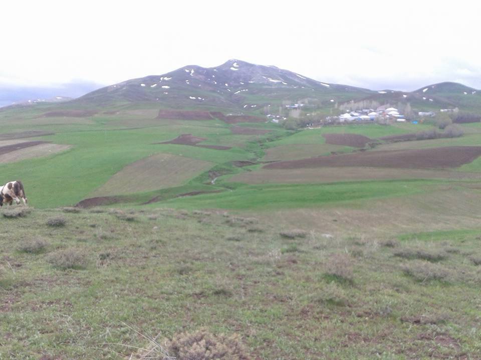 Karayazı Yalındal Köyü Resimleri 3