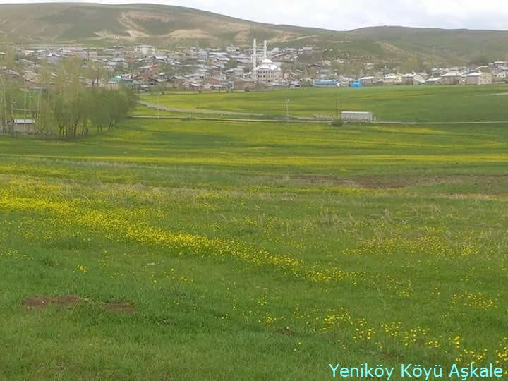 Karayazı Yeniköy Köyü Resimleri 7