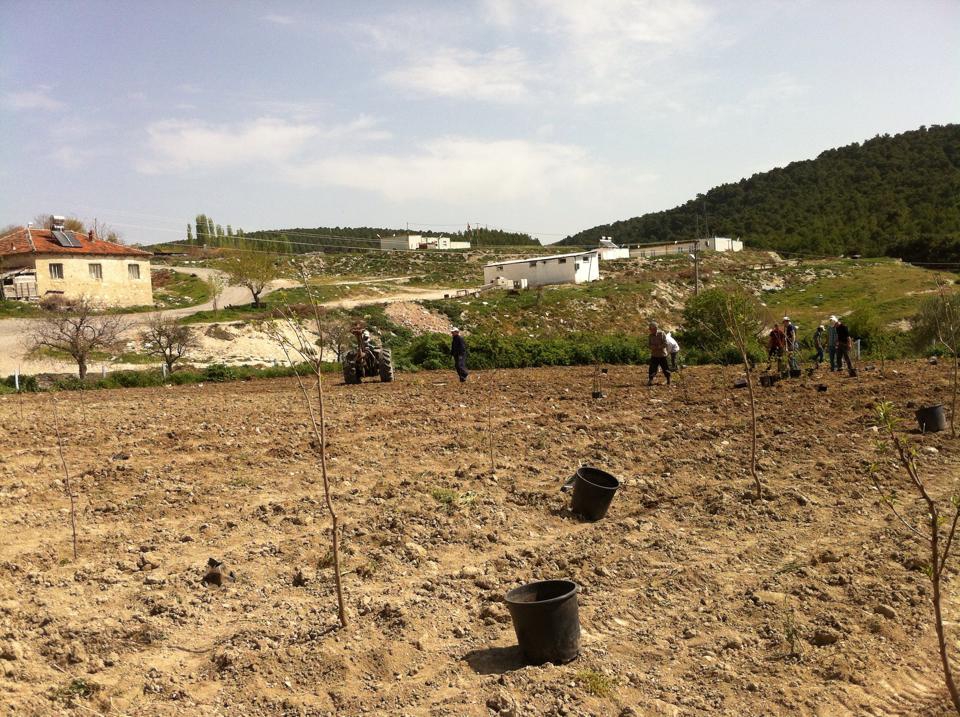 Kırkağaç Yağmurlu Köyü Resimleri 1