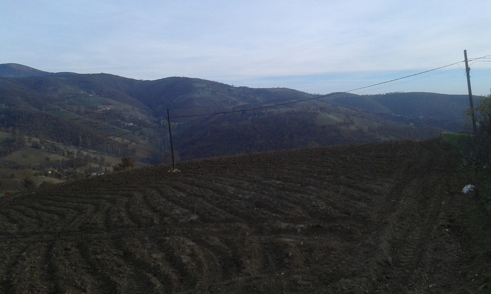 Amasya Abacı Köyü Resimleri 17